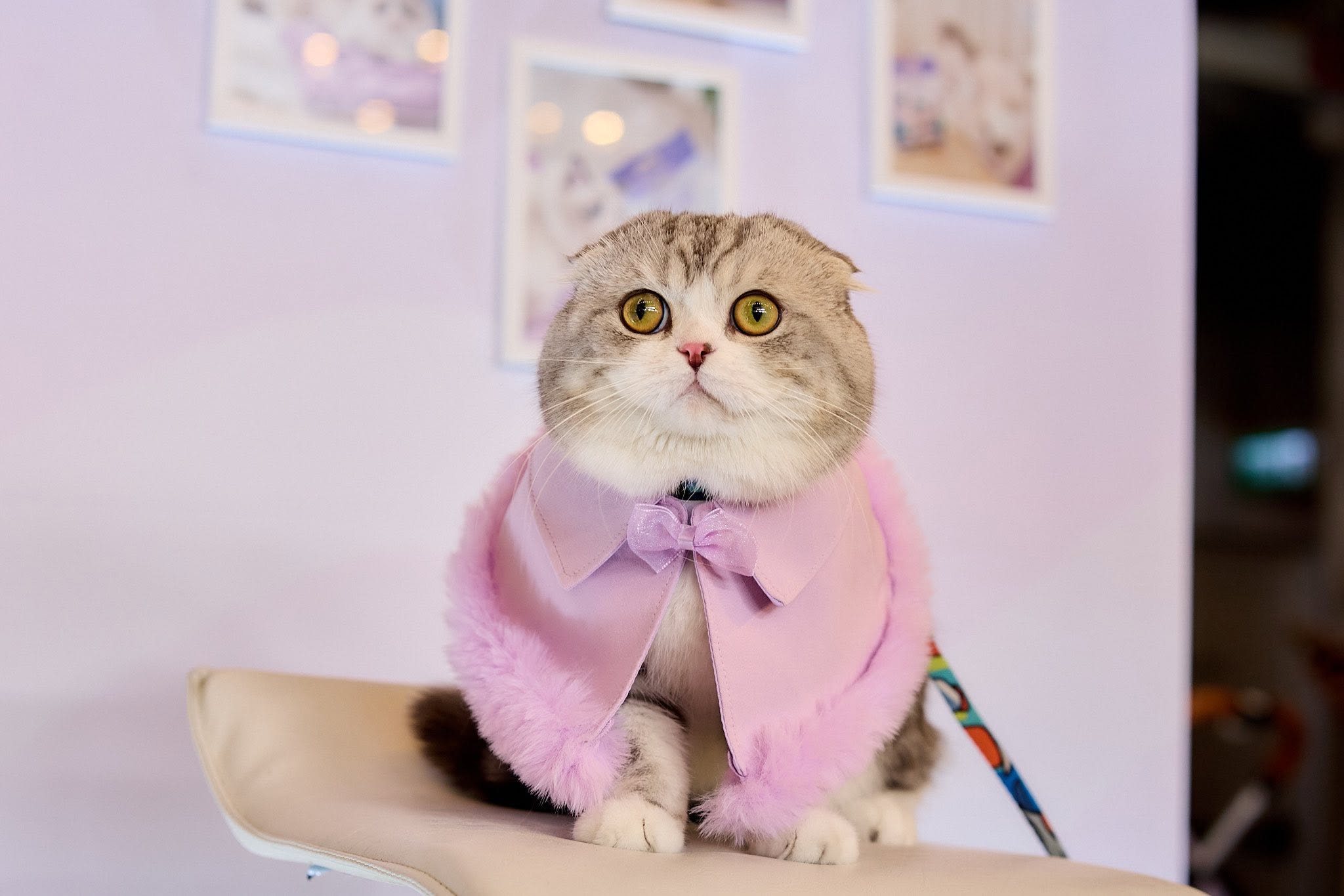 Bombie wearing a pastel pink outfit at an event